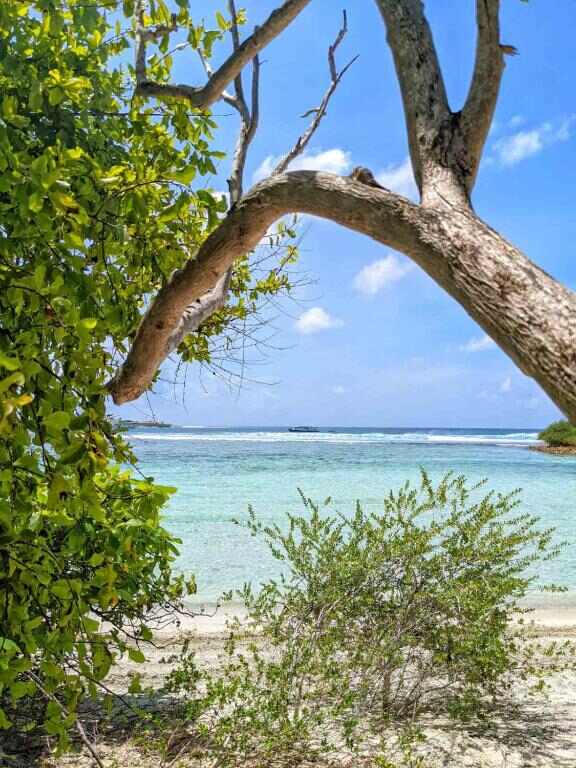 Turquoise lagoon and beach on Thulusdhoo