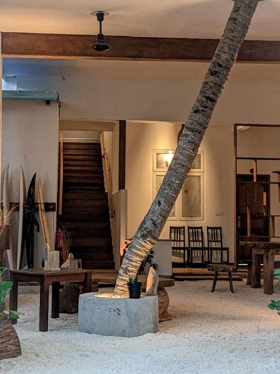 Common area with palm tree and sand floor